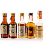 Blended Whiskey Nips, Mini Group (20 Bottles) (photo 2)