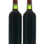 Chateau Chasse-Spleen Bordeaux 1982 (photo 2)