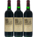 Chateau DuHart-Milon-Rothschild (LaFite) Bordeaux (photo 4)