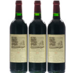 Chateau DuHart-Milon-Rothschild (LaFite) Bordeaux (photo 4)