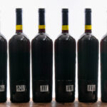 Geyser Peak Reserve Cabernet Sauvignon 1995 Group (6) (photo 4)