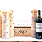 Caro (Catena and Rothschild) Malbec-Cabernet Sauvignon 2017 (Case of 6 Bottles)