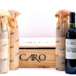 Caro (Catena and Rothschild) Malbec-Cabernet Sauvignon 2017 (Case of 6 Bottles) (photo 2)