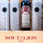 Daou Soul of a Lion Paso Robles Cabernet Sauvignon 2020 (Case of 6 Bottles) (photo 4)