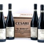 Gerardo Cesari Il Bosco Amarone Red Wine 2016 (Case of 6 Bottles)