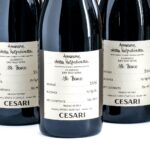 Gerardo Cesari Il Bosco Amarone Red Wine 2016 (Case of 6 Bottles) (photo 2)