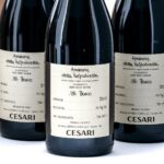Gerardo Cesari Il Bosco Amarone Red Wine 2016 (Case of 6 Bottles) (photo 3)