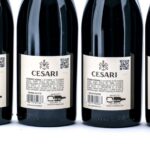 Gerardo Cesari Il Bosco Amarone Red Wine 2016 (Case of 6 Bottles) (photo 4)